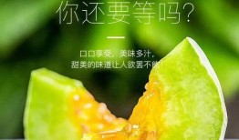 免费吃网红瓜网站推荐,免费吃网红瓜网站带你畅游娱乐圈