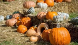 柳州吃瓜事件网红是谁,揭秘网红背后的真相