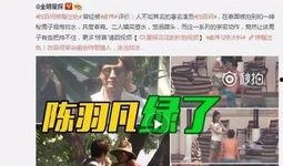 吴小宝爆料奉天视频全集,全程爆料背后的真相与内幕
